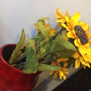 Meet your Posher, Dakota